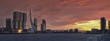 Panorama: De Erasmusbrug met de Rotterdam erachter RawBird Photo's Wouter Putter
