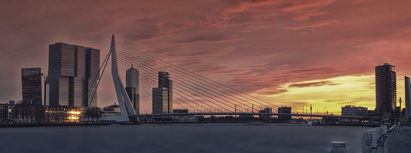 Panorama: The Ersamusbrigde with The Rotterdam behind it. RawBird Photo's Wouter Putter by Rawbird Photo's Wouter Putter