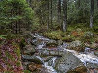 Zwischen den Felsen fließender Fluss Bayehon