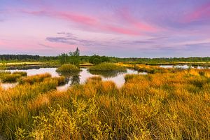 Sonnenuntergang bei Holtveen im Nationalpark Dwingelderveld