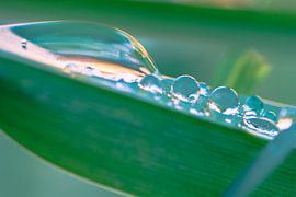Water fixed mouvement van Franck m.