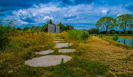 Natuurgebied Moerenburg