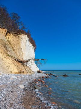 Krijtrotsen aan de kust van de Oostzee op het eiland Rügen