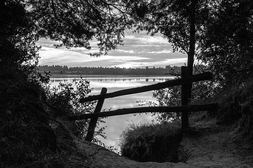 Sunrise Fence View