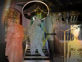 Beer op de catwalk von Ans van der Heide