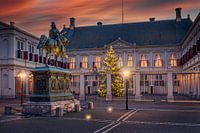 Christmas tree at Noordeinde Palace in The Hague