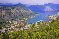 Bay of Kotor Montenegro by Patrick Lohmüller thumbnail