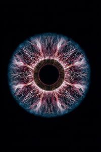 Plasma-Iris-Ring