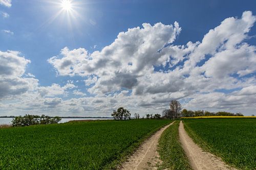 Veldpad langs de kust bij Glutzow, eiland Rügen