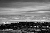 Duinlandschap zwart/wit fotografie van Linsey Aandewiel-Marijnen thumbnail