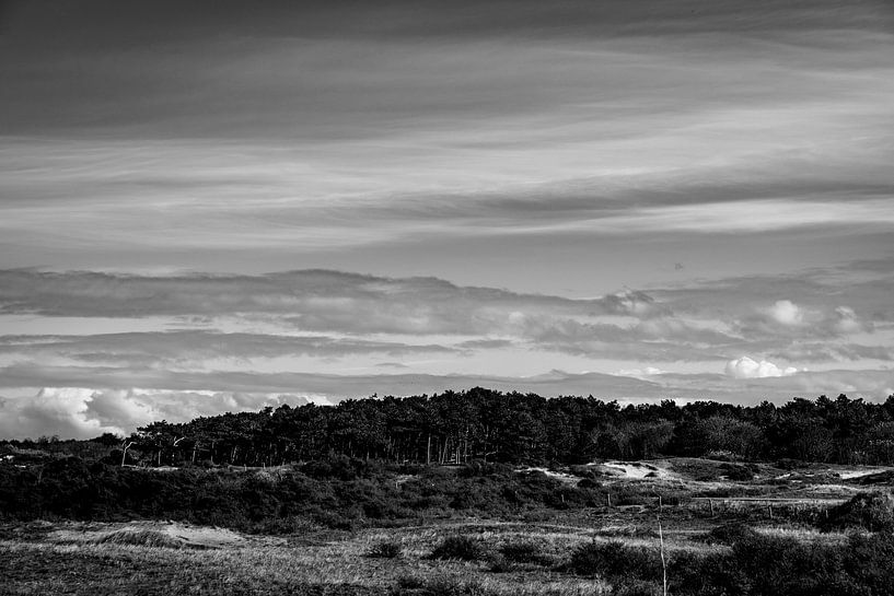 Dünenlandschaft Schwarz-Weiß-Fotografie von Linsey Aandewiel-Marijnen