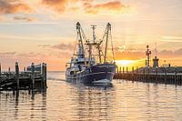 Kotter komt Texelse haven binnen tijdens zonsopkomst..