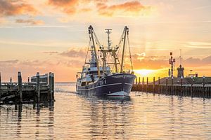 Kotter fährt bei Sonnenaufgang in den Hafen von Texel ein.