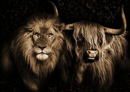 The lion and the Scottish Highlander