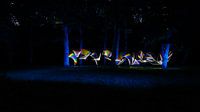 Nocturnal Rainbows in the forest, one van Licht! Fotografie thumbnail
