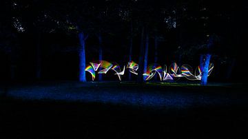 Arc-en-ciel nocturne dans la forêt sur Licht! Fotografie