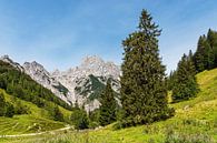 Blick auf die Bindalm im Berchtesgadener Land in Bayern von Rico Ködder Miniaturansicht