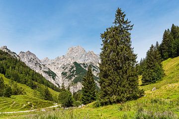 Blick auf die Bindalm im Berchtesgadener Land in Bayern