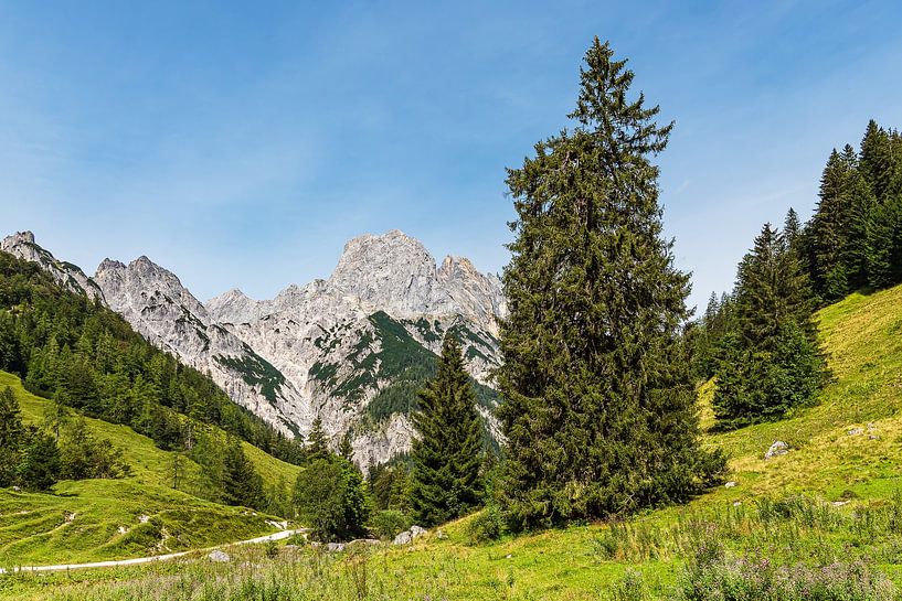 Blick auf die Bindalm im Berchtesgadener Land in Bayern von Rico Ködder