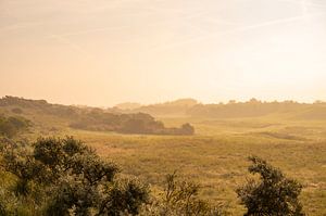 Sonnenaufgang mit Nebel in den Dünen an einem sonnigen Sommermorgen