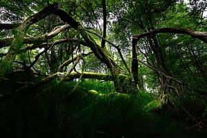 Waldgeist