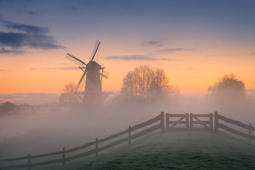 Moulin de Vlinder par un matin brumeux | Photographie de paysage par Marijn Alons