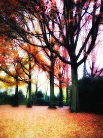 fallen leaves by Elo Mars