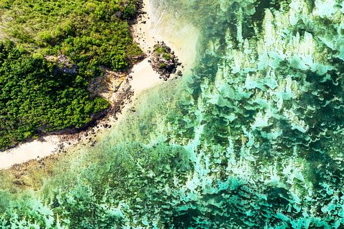 Aerial Summer - Aquamarine Coral Beach