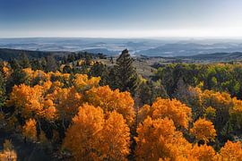 A view at Capitol Reef by Martin Podt