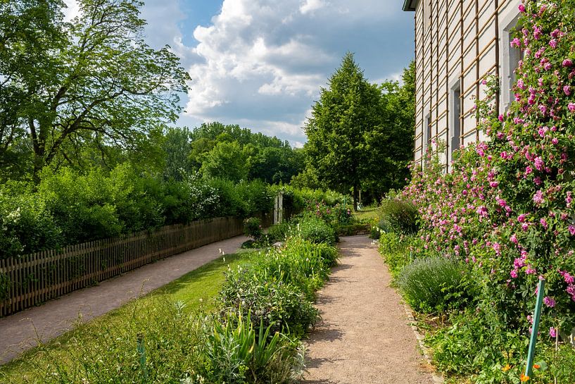 Garten an Goethes Gartenhaus in Weimar von Mixed media vector arts