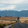 Roadtrip Zuid-Afrika van Dayenne van Peperstraten