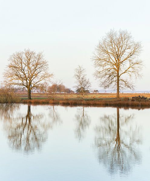 Reflection Dwingelderveld Drenthe (The Netherlands) by Marcel Kerdijk