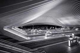 Bahnhof von Lüttich von Antwan Janssen