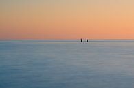 Cormorants on the horizon by Julien Beyrath thumbnail
