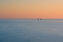 Cormorants on the horizon by Julien Beyrath