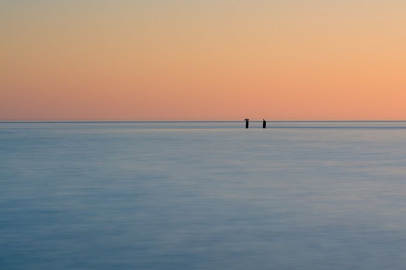 Cormorants on the horizon by Julien Beyrath
