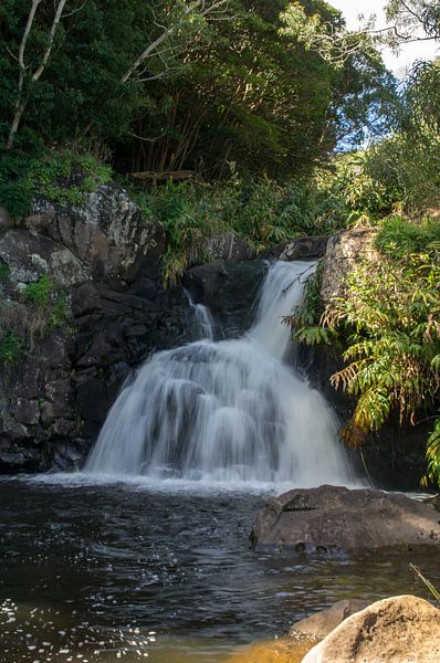 Waterval in Waimea Canyon van Andrea Ooms