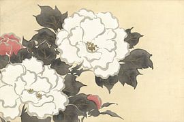 Peonies by Kamisaka Sekka, 1909