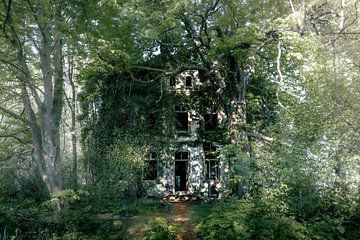 Villa abandonnée sur Roy Kreeftenberg