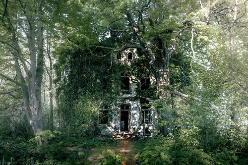 Abandoned villa