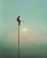Licht Visser