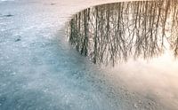Water ice reflection van Wim van D thumbnail