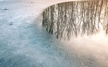 Water ice reflection van Wim van D