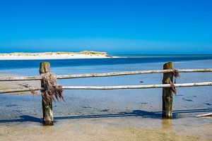 Ostseeküste auf dem Fischland-Darß