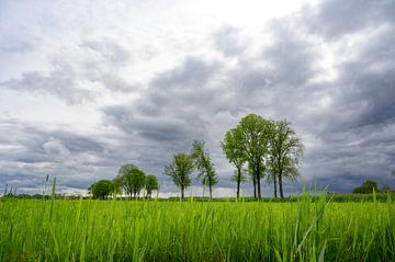 Stormwolken boven een weiland in de lente van Sjoerd van der Wal