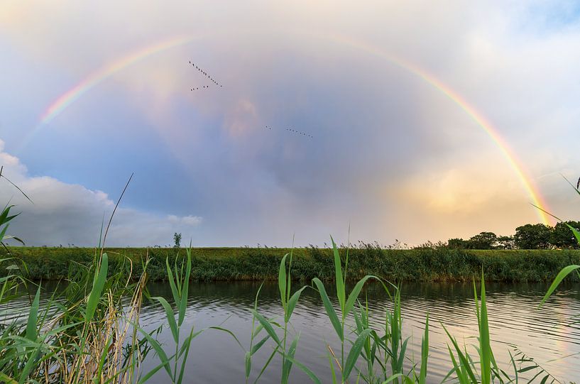 Regenboog van Mark Bolijn