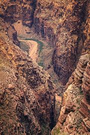 The Colorado River passing a canyon, Arizona, USA by PhotoCluster