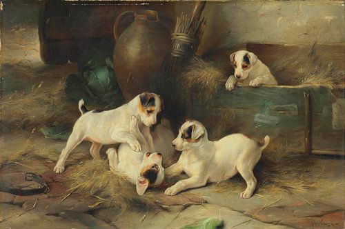 Four Puppies Playing