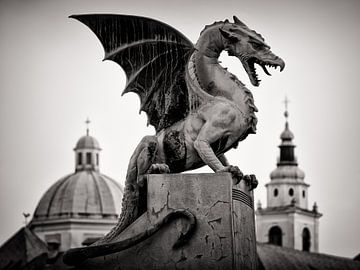 Zwart-wit fotografie: Ljubljana - Drakenbrug