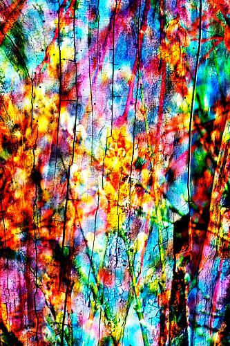 Symfonie van lentekleuren